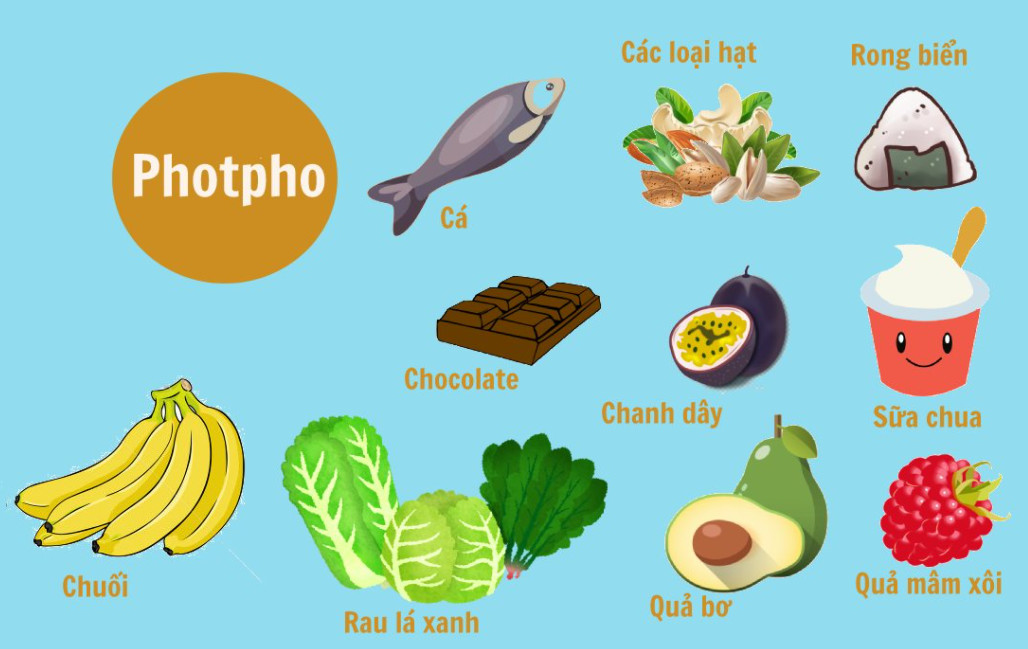 Thực phẩm chứa nhiều phospho